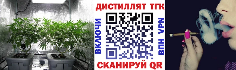 Дистиллят ТГК концентрат  OMG ONION  Городовиковск  купить  сайты 