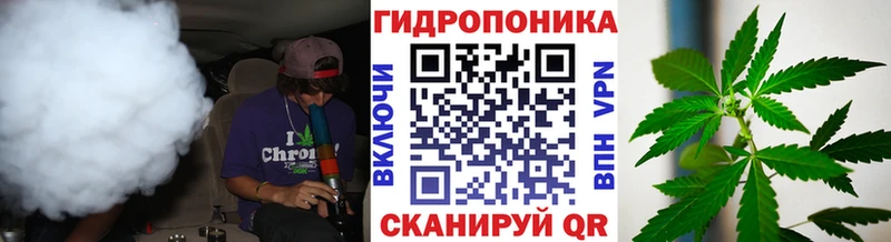 Канабис конопля Городовиковск