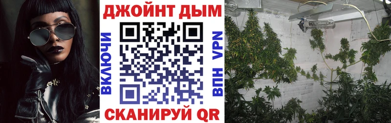 Марихуана индика  Городовиковск 